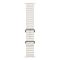 Ремінець Apple Ocean Band для Apple Watch 38/40/41mm (білий/white) MQE93